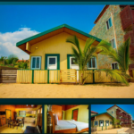 Icon House_1
